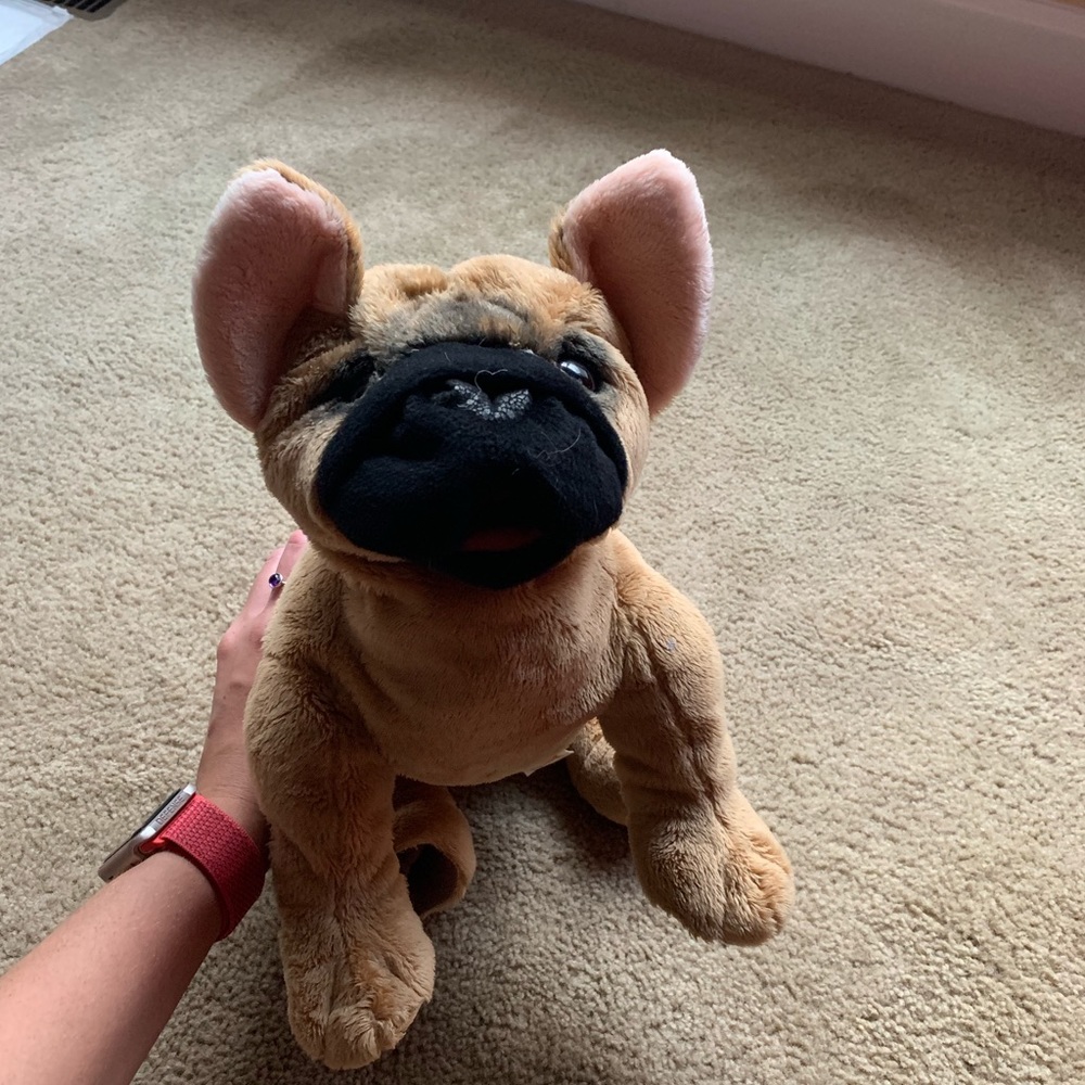 French bulldog puppet
